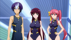 Seiken Tsukai no World Break